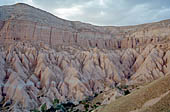 Cappadocia, the Rose valley